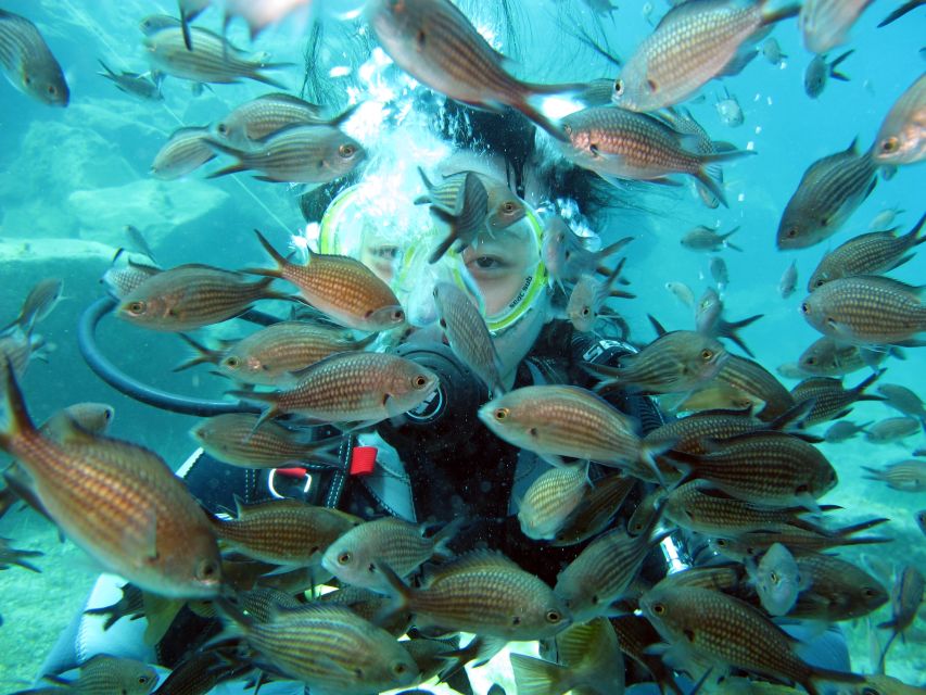 Oia: 2 Guided Scuba Dives off Santorini for Certified Divers - The first underwater outing around the Caldera