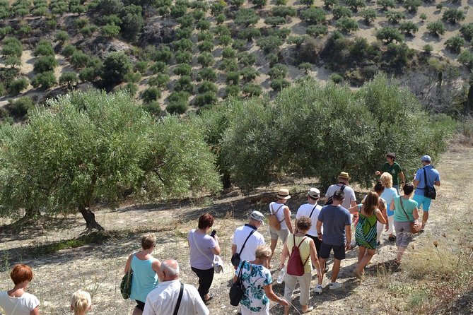 Olive Oil Tasting Tour - What the strongest feedback tells you