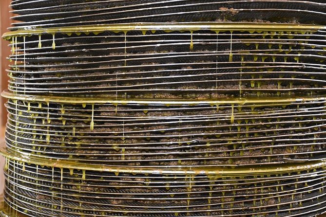 Olive Oil Tasting Tour - Seeing first cold pressing inside the mill