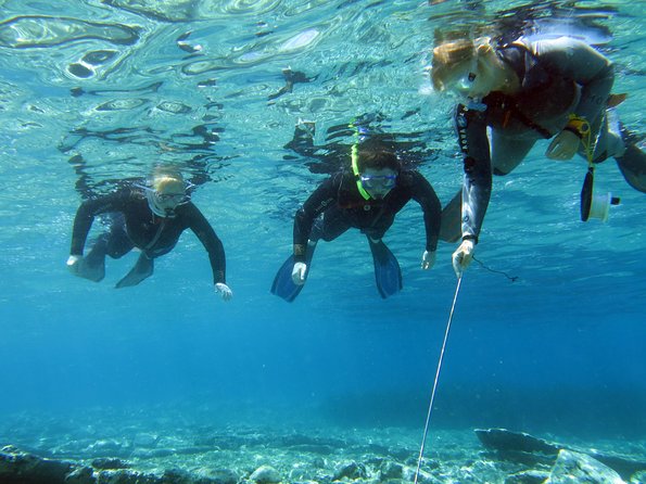 Olous – Guided Snorkelling Excursion to Discover Olous Sunken Ancient City - Key points before you book