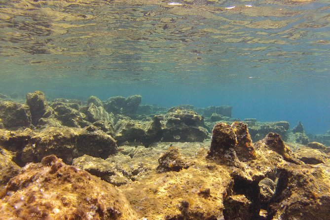 Olous – Guided Snorkelling Excursion to Discover Olous Sunken Ancient City - Getting fitted with the mask, fins, snorkel, and wetsuit