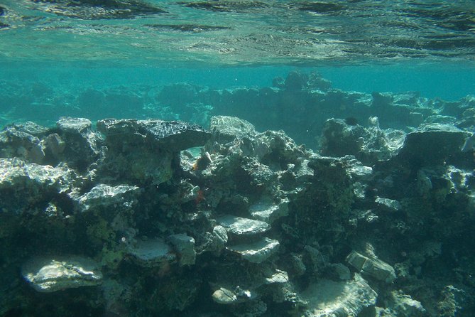 Olous – Guided Snorkelling Excursion to Discover Olous Sunken Ancient City - What the $66.08 price includes