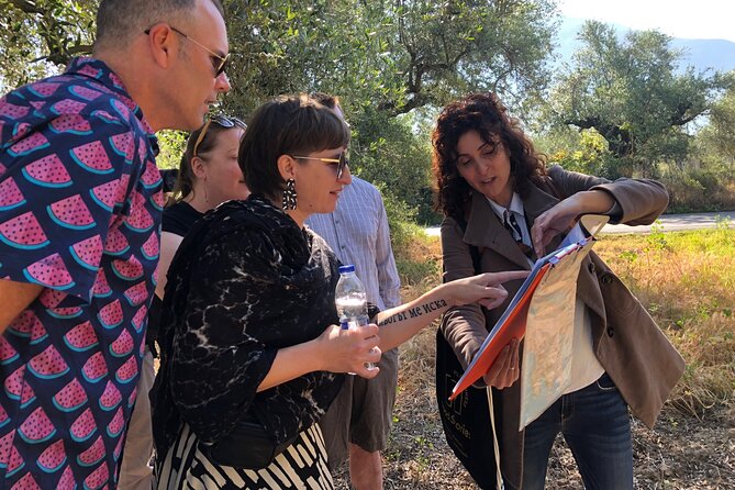 Organic Olive Grove tour & Olive oil tasting & lunch in Kalamata! - Key points at a glance