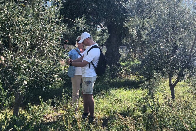 Organic Olive Grove tour & Olive oil tasting & lunch in Kalamata! - Adding a Greek lunch at a taverna