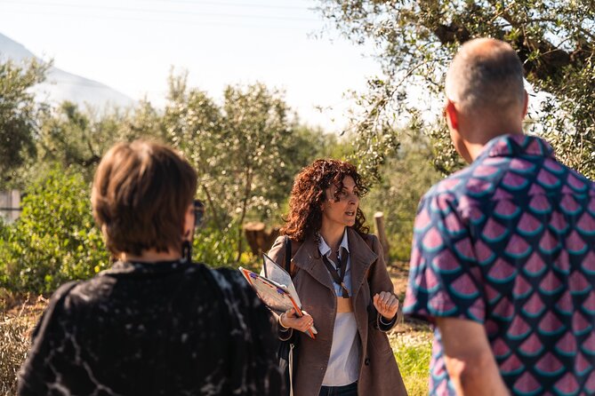Organic Olive Grove tour & Olive oil tasting & lunch in Kalamata! - Walking among old olive trees