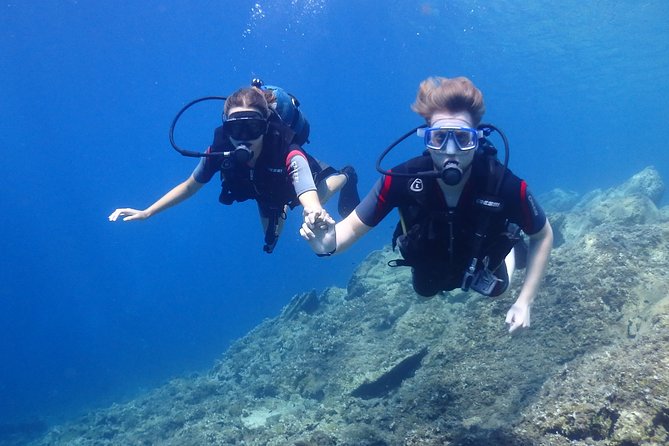 Padi Discover Scuba Diving - Key points to know before booking