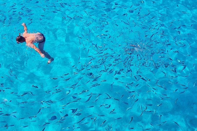 Parga & Sivota Islands Blue Lagoon Cruise from Corfu - Is $66.18 good value?