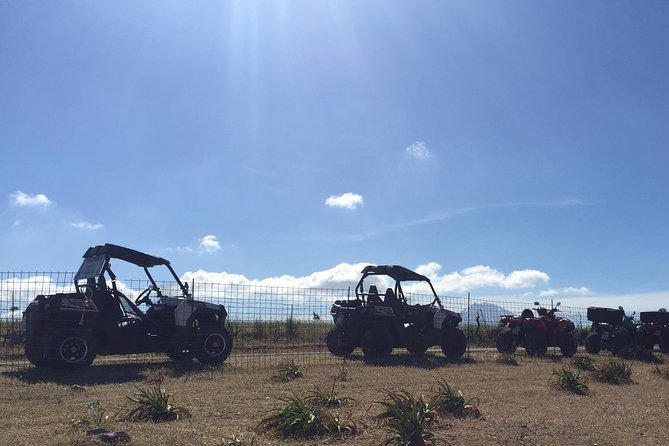 Polaris Buggy 4-Hour Safari from Rethymno Town - Morning or afternoon: which departure suits you?