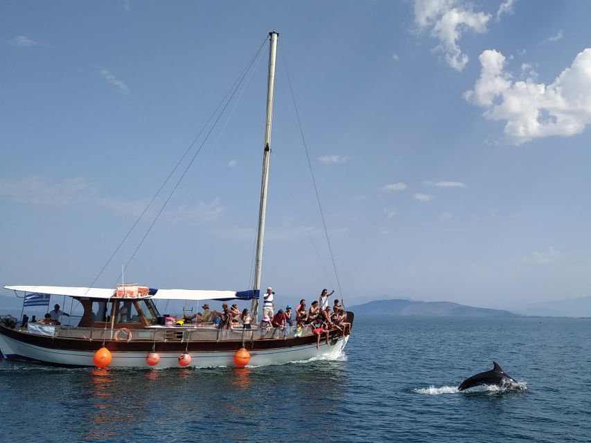 Preveza: Dolphin Watching Cruise with Lunch and Drinks - Why the Amvrakikos Gulf makes this cruise special