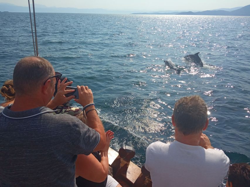 Preveza: Dolphin Watching Cruise with Lunch and Drinks - Greek lunch with cold drinks