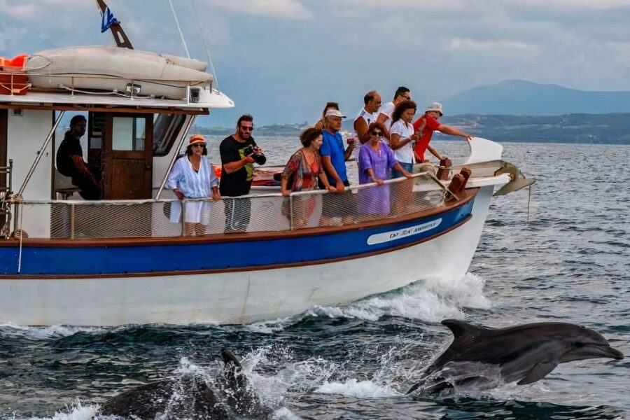 Preveza: Dolphin Watching Cruise with Lunch and Drinks - What the guides add to the day