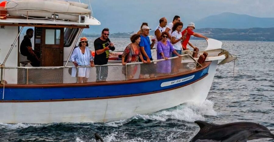 Preveza: Dolphin Watching Cruise with Lunch and Drinks - Who should book this Preveza cruise