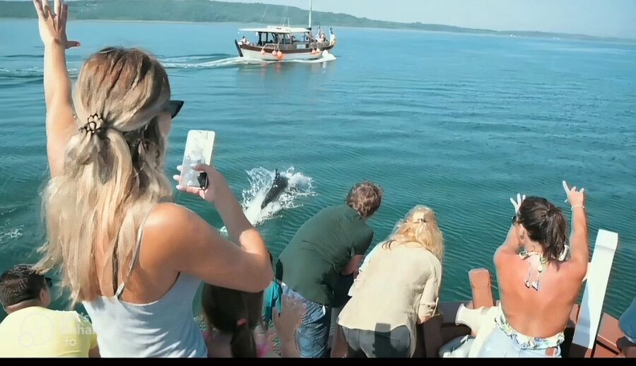Preveza: Dolphin Watching Cruise with Lunch and Drinks - Practical advice for a smoother five hours
