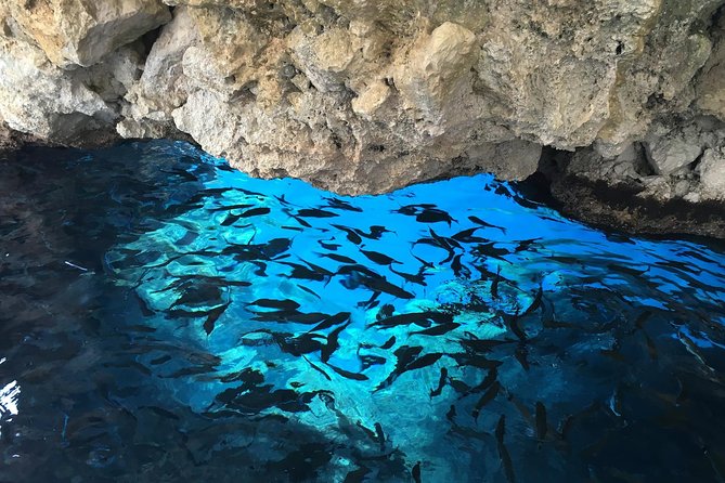 Private Corfu Tour- Glyfada & Paleokastritsa beach - Who will like this tour most