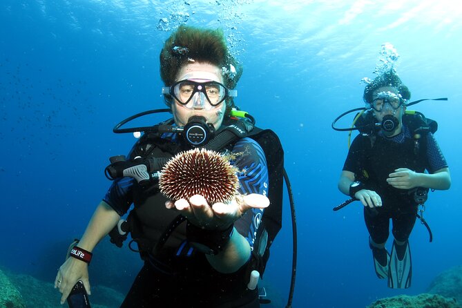 Private Discover Scuba Diving for Beginners in Athens with Pickup - What the $203.70 price includes