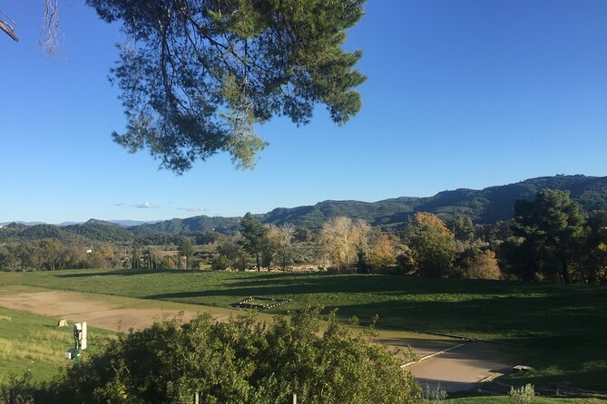 Private Excursion to Ancient Olympia - bee farm & winery - Klio’s Honey Farm, the sweetest stop