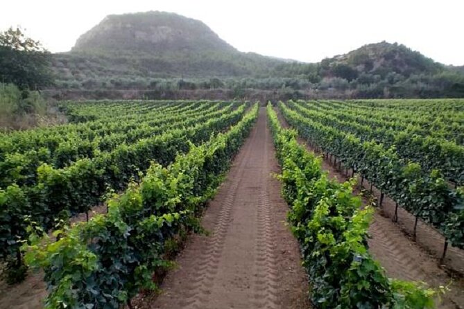 Private Excursion to Ancient Olympia - bee farm & winery - Why the private format matters