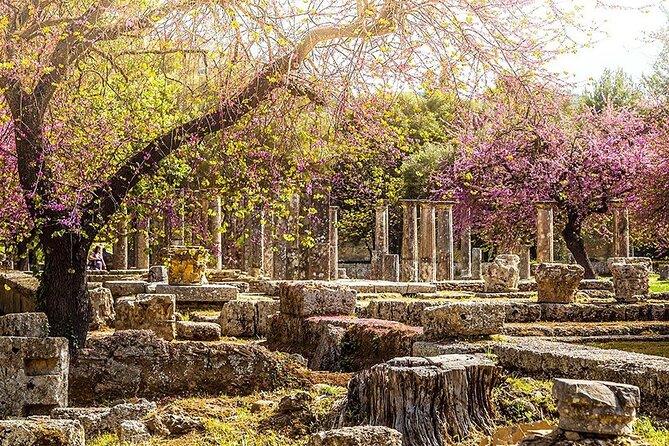 Private Excursion to Ancient Olympia - bee farm & winery - Ancient Olympia, where sport became ceremony