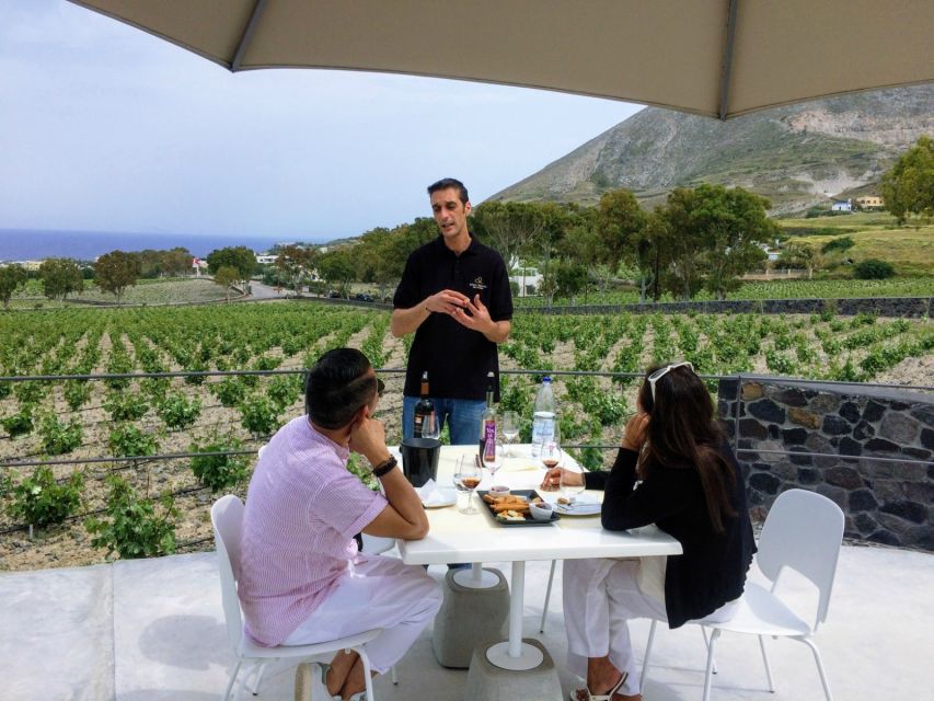 Private Group Visit to Akrotiri & 3 Wineries with Tastings - Why the minivan matters on Santorini