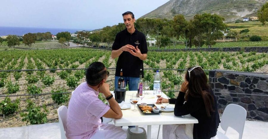 Private Group Visit to Akrotiri & 3 Wineries with Tastings - Tips for getting the most from the tasting