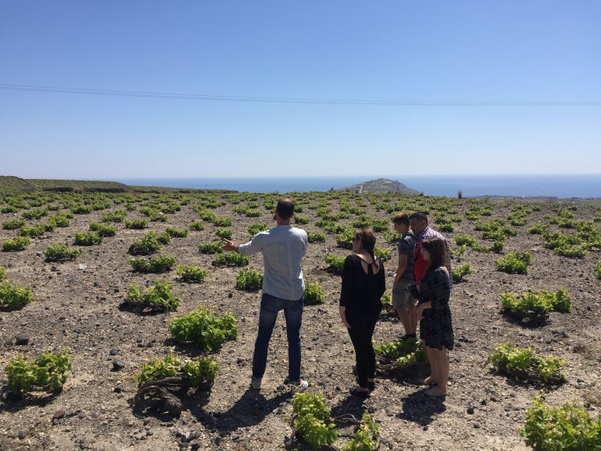 Private Group Visit to Akrotiri & 3 Wineries with Tastings - Who will enjoy this tour most