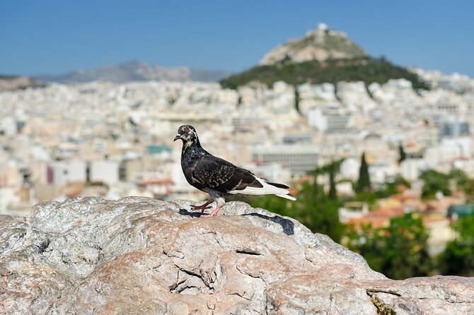 Private Luxury Biblical Tour: Apostle Paul in Athens & Corinth - The drive west changes the pace