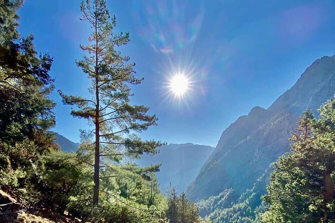 Private Roundtrip Transfer from Chania to Samaria Gorge Park - Meeting your driver in Chora Sfakion