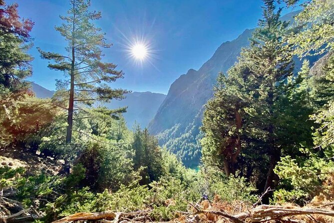 Private Roundtrip Transfer from Chania to Samaria Gorge Park - Timing, weather, and cancellation details