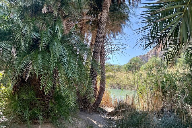 Private South Crete Full-Day Tour-Spili, Kourtaliotiko & Preveli - The Preveli Palm Forest and beach