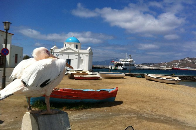 Private Tour: Mykonos Island in Half a Day - Churches, chapels, and Ano Mera