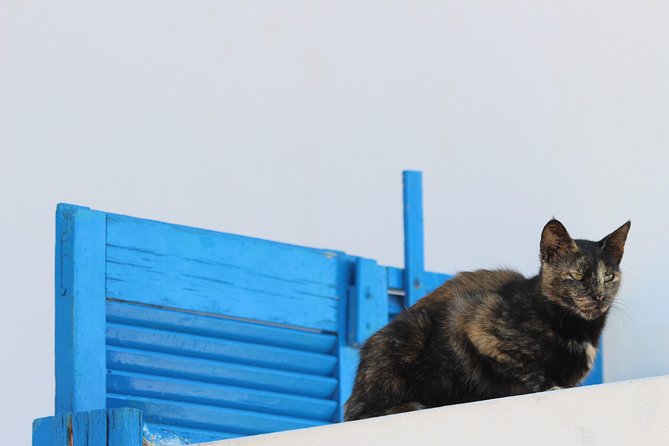 Private Tour: Mykonos Island in Half a Day - Beaches from a quick coastal look to Kalo Livadi