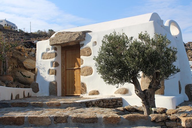 Private Tour: Mykonos Island in Half a Day - Mykonos Town, Little Venice, and the windmills