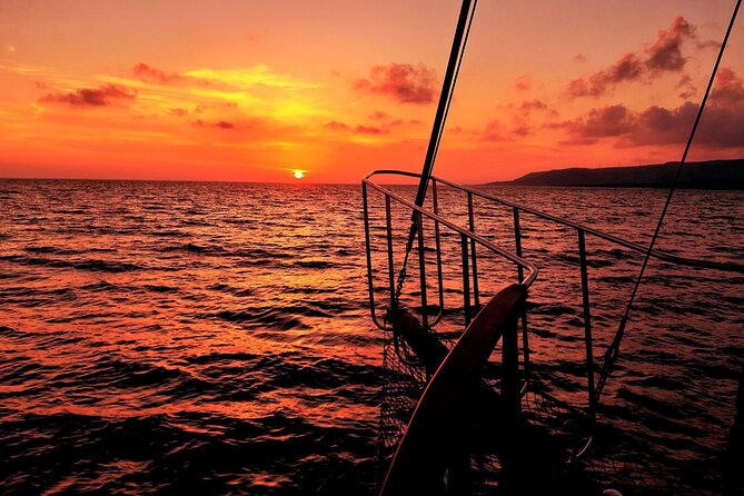Queen Bee Sunset Cruise with Swim Stops and Dinner - What is actually included in the drinks package