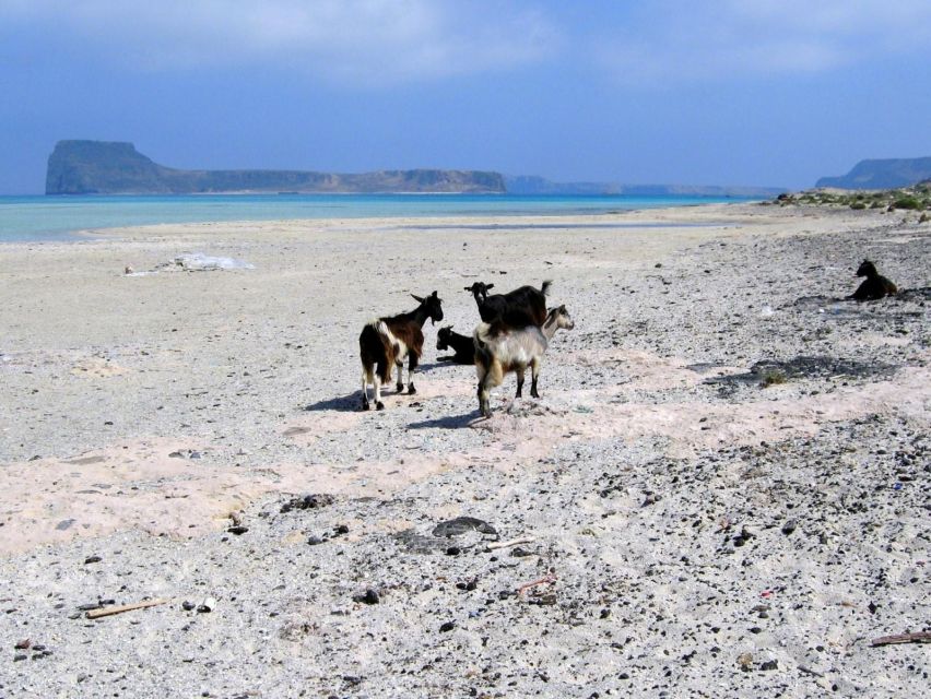 Rethymno: Gramvousa & Balos Lagoon Day Trip with Boat Ticket - The boat ride to Gramvousa and the northwest coast