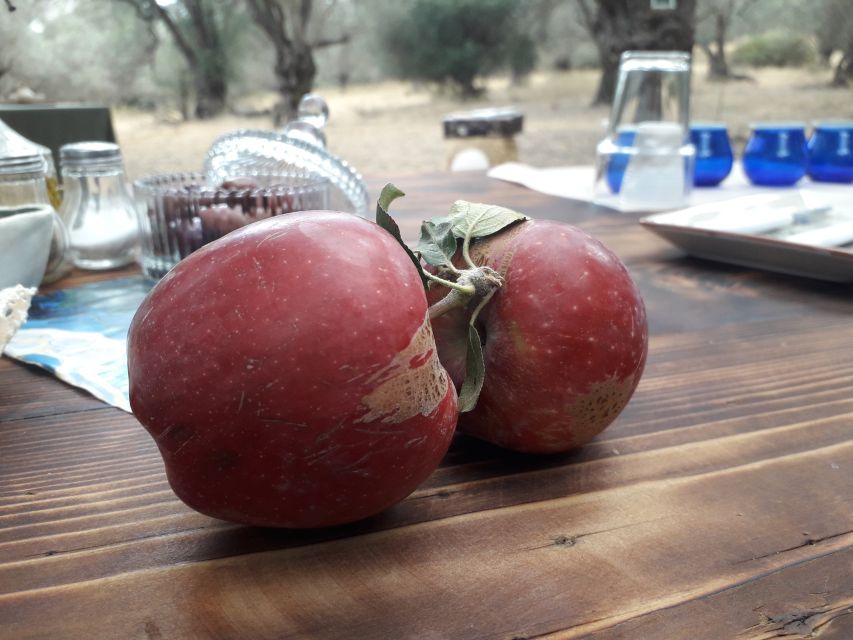 Rethymno: Olive Oil Tasting with Cretan Food Pairing - Four courses with Cretan products