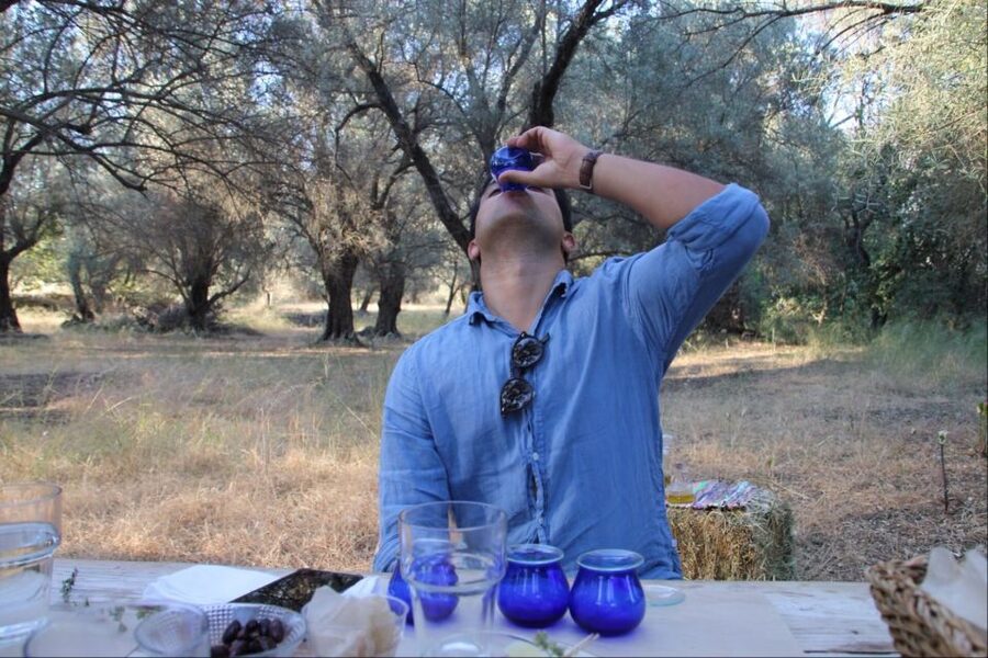 Rethymno: Olive Oil Tasting with Cretan Food Pairing - Is $107 a fair price?
