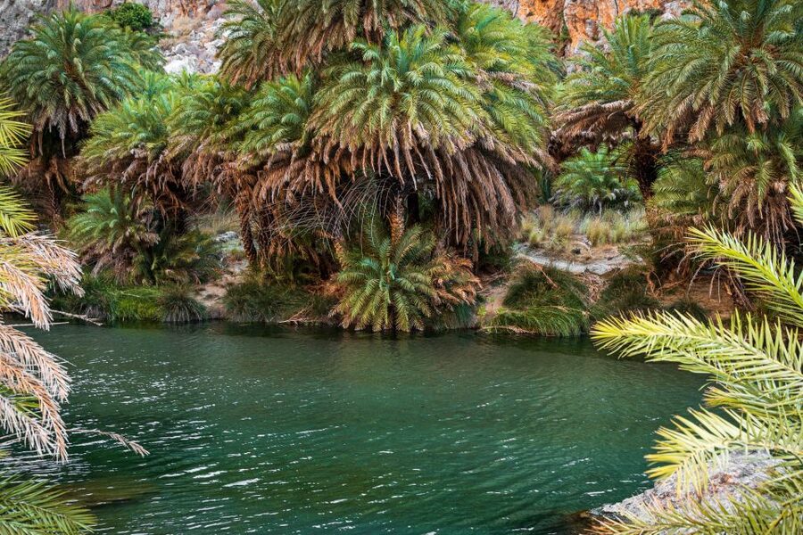 Rethymno: Preveli Beach Damnoni Beach Kourtaliotiko Day Trip - Preveli Beach and the palm forest river