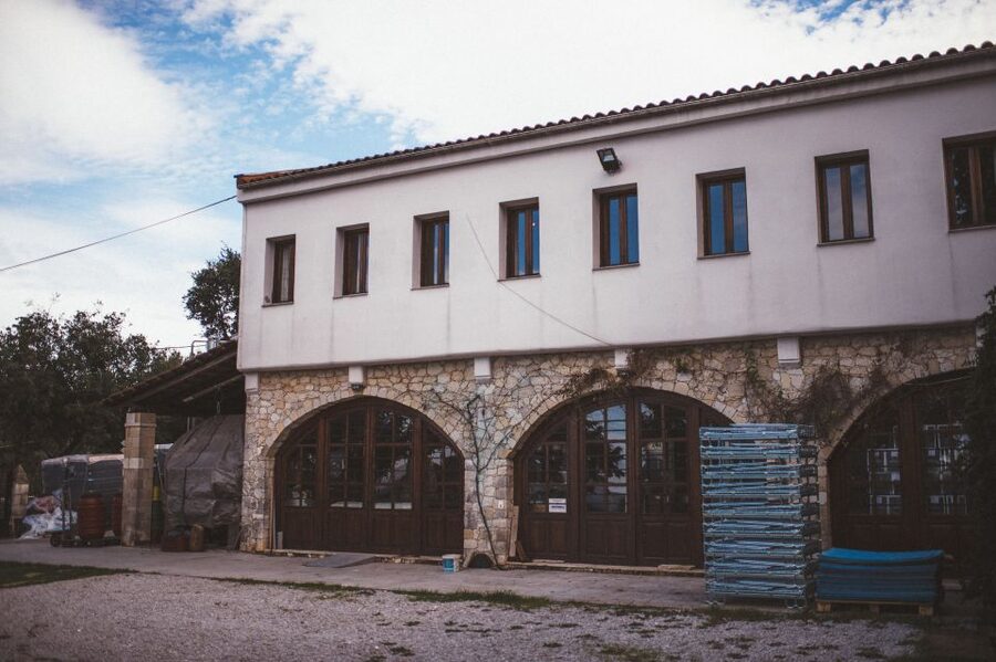 Rethymno: Private Winery & Olive Oil Tasting Tour with Lunch - What the guide adds to the day
