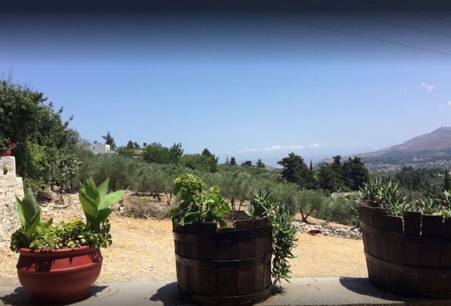 Rethymno: Private Winery & Olive Oil Tasting Tour with Lunch - Starting with olive oil at Kanakis
