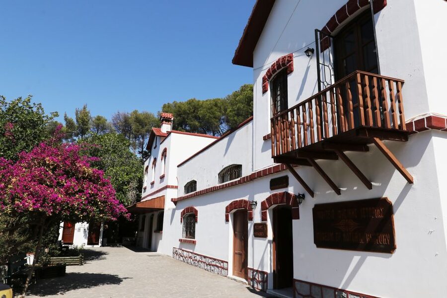 Rhodes: Butterfly Valley and Seven Springs Valley Day Trip - How much value do you get for $34?
