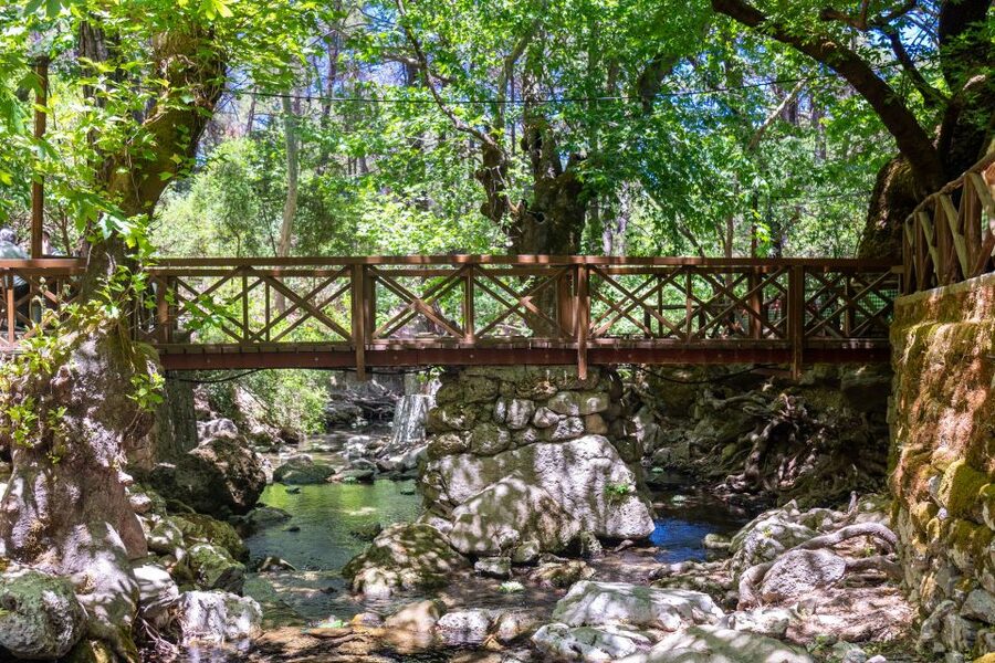 Rhodes: Butterfly Valley and Seven Springs Valley Day Trip - What to wear and carry