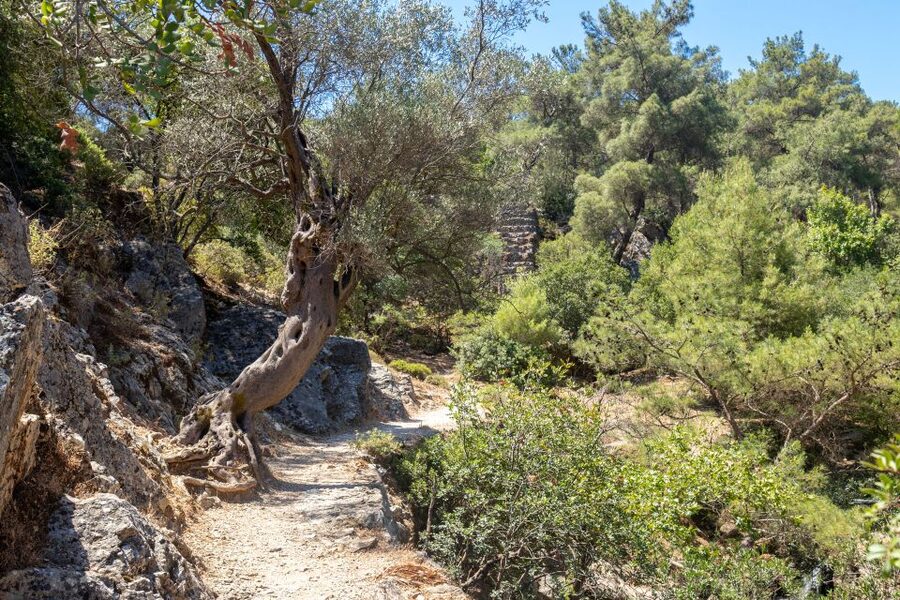 Rhodes: Butterfly Valley and Seven Springs Valley Day Trip - Who will enjoy this Rhodes day trip?