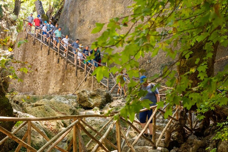 Rhodes: Butterfly Valley and Seven Springs Valley Day Trip - Two hours among trees, water, and butterflies