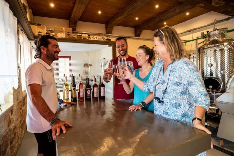Rhodes: Cooking Lesson and Wine Tasting with Lunch - Who will enjoy this Rhodian food tour most