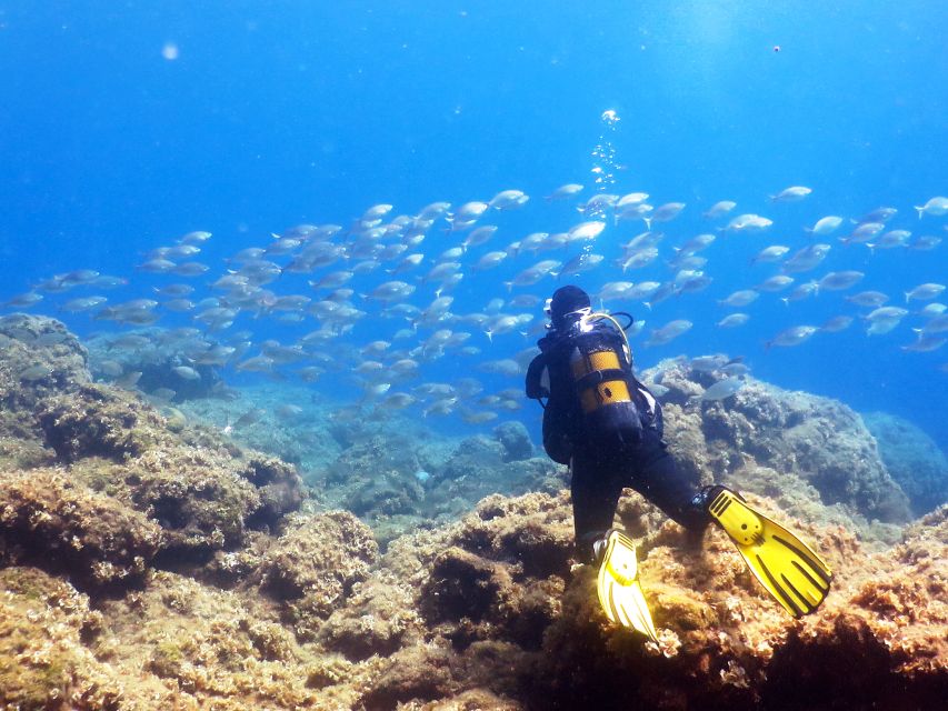 Rhodes: Diving Adventure for Beginners and Experts - Practicing before the first underwater session