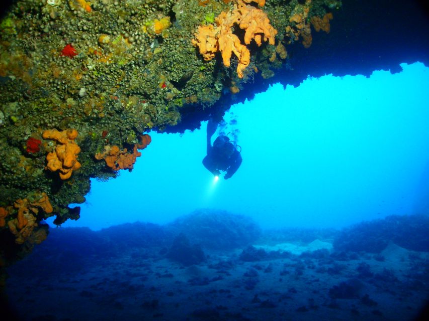 Rhodes: Diving Adventure for Beginners and Experts - Timing, weather, and the low-season catch
