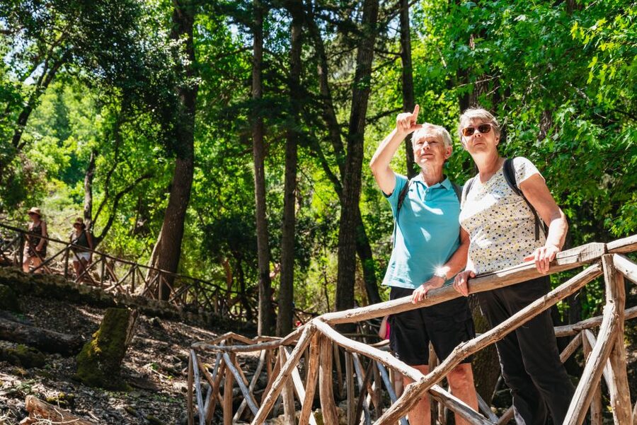 Rhodes: Filerimos Hill and Butterfly Valley Bus Trip - The real cost beyond the $31 fare