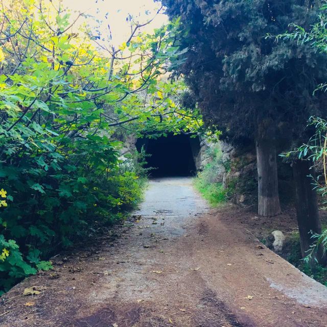 Rhodes: Full–Day 4WD Northern Safari Tour - Lunch beneath the plane trees in Kritinia