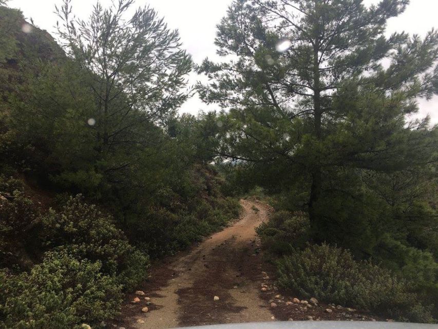 Rhodes: Full–Day 4WD Northern Safari Tour - What $135 gets you