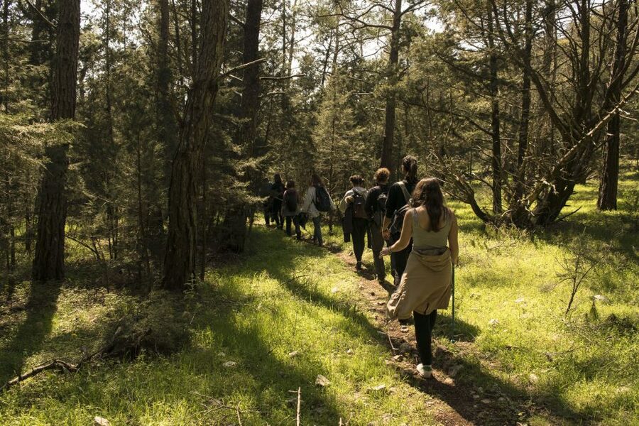 Rhodes: Hiking Tour to the Summit of Akramitis with Photos - St John’s chapel brings a welcome pause